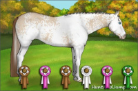 Horse Color:Gray White Spotted Perlino Dun 