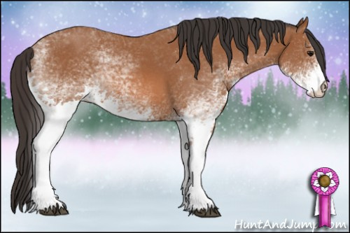 Horse Color: White Spotted Bay 