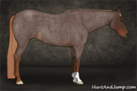 Horse Color:Gray Red Roan 