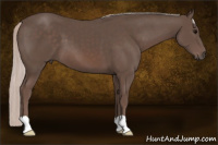 Horse Color:Silver Brown 