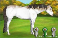 Horse Color:White Spotted Buckskin Splash Frame 