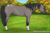 Horse Color:Grullo Roan Tobiano