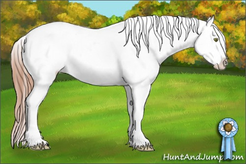 Horse Color: Amber Champagne Splash Blanket 