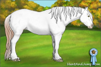Horse Color:Amber Champagne Splash Appaloosa 