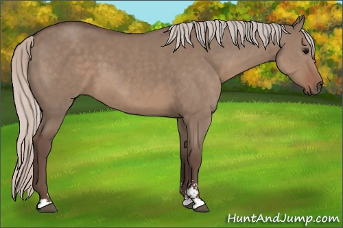 Horse Color: Silver Brown Dun Sabino 