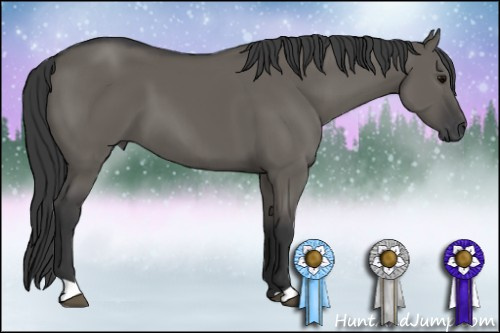 Horse Color: Brown Dun 