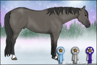 Horse Color:Brown Dun 