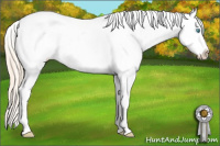 Horse Color:White Spotted Perlino Dun Sabino Appaloosa 