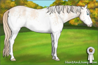 Horse Color:White Spotted Perlino 