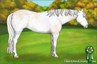 Horse Color:White Spotted Cremello Sabino