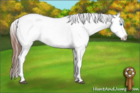 Horse Color:White Spotted Brown Splash Frame Appaloosa 