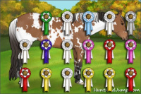 Horse Color:White Spotted Bay 