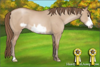 Horse Color:Grullo Pearl Frame 