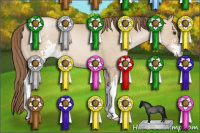 Horse Color:Grullo Pearl Sabino