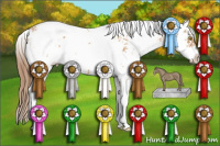 Horse Color:Bay Pearl Sabino 