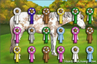 Horse Color:Black Pearl Sabino