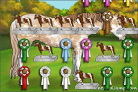 Horse Color:Bay Pearl Sabino