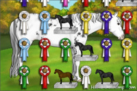 Horse Color:Black Sabino 
