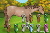 Horse Color:Black Pearl Tobiano 