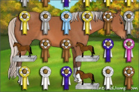 Horse Color:Silver Bay 