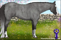 Horse Color:Smoky Blue Roan Splash
