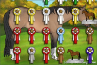 Horse Color:Brown Dun 