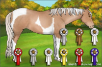 Horse Color:Silver Black Pearl Tobiano 