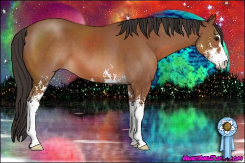 Horse Color: Bay Sabino 