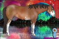 Horse Color:Bay Sabino 