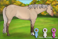 Horse Color:Silver Bay Dun Rabicano 