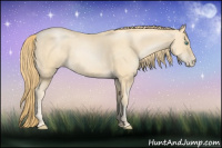 Horse Color:Smoky Black Pearl 