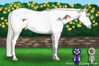 Horse Color:White Spotted Silver Black Splash Tobiano 