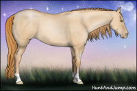 Horse Color:Red Dun Pearl 