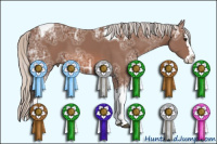 Horse Color:Silver Bay Ice Sabino Splash Tobiano 