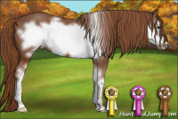 Horse Color:Liver Chestnut Sabino Frame 