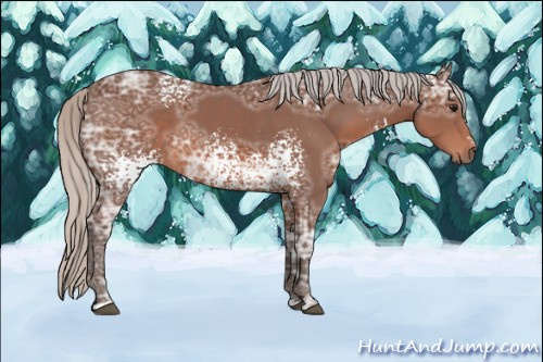 Horse Color: White Spotted Silver Brown Ice Sabino 