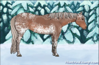 Horse Color:White Spotted Silver Brown Ice Sabino 