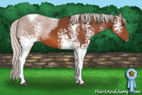 Horse Color:White Spotted Silver Bay Tobiano 