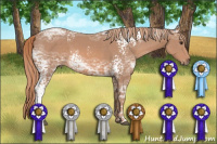 Horse Color:White Spotted Chestnut Ice Sabino