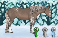 Horse Color:White Spotted Silver Black 