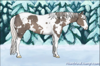 Horse Color:White Spotted Silver Black Splash Tobiano 