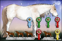 Horse Color:White Spotted Grullo Pearl 