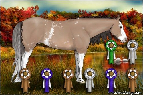 Horse Color: White Spotted Classic Champagne Splash 
