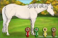 Horse Color:Cremello Roan