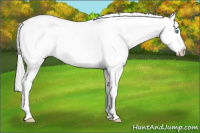 Horse Color:Cremello Ice Roan Tobiano Blanket 