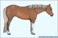 Horse Color:Silver Black Sabino Tobiano
