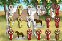 Horse Color:Silver Grullo Sabino Splash Tobiano 