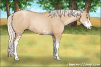 Horse Color:Silver Grullo Pearl Sabino