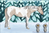 Horse Color:Silver Grullo Ice Tobiano