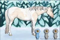 Horse Color:Silver Classic Champagne Ice Dun Tobiano 
